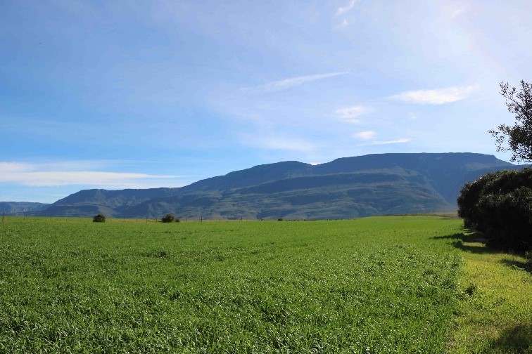 Figure 3. The yields on the property where Wilmar farms has increased considerably.